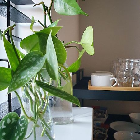 Bed And Breakfast 'Wij En De Zande' Kamperveen 외부 사진