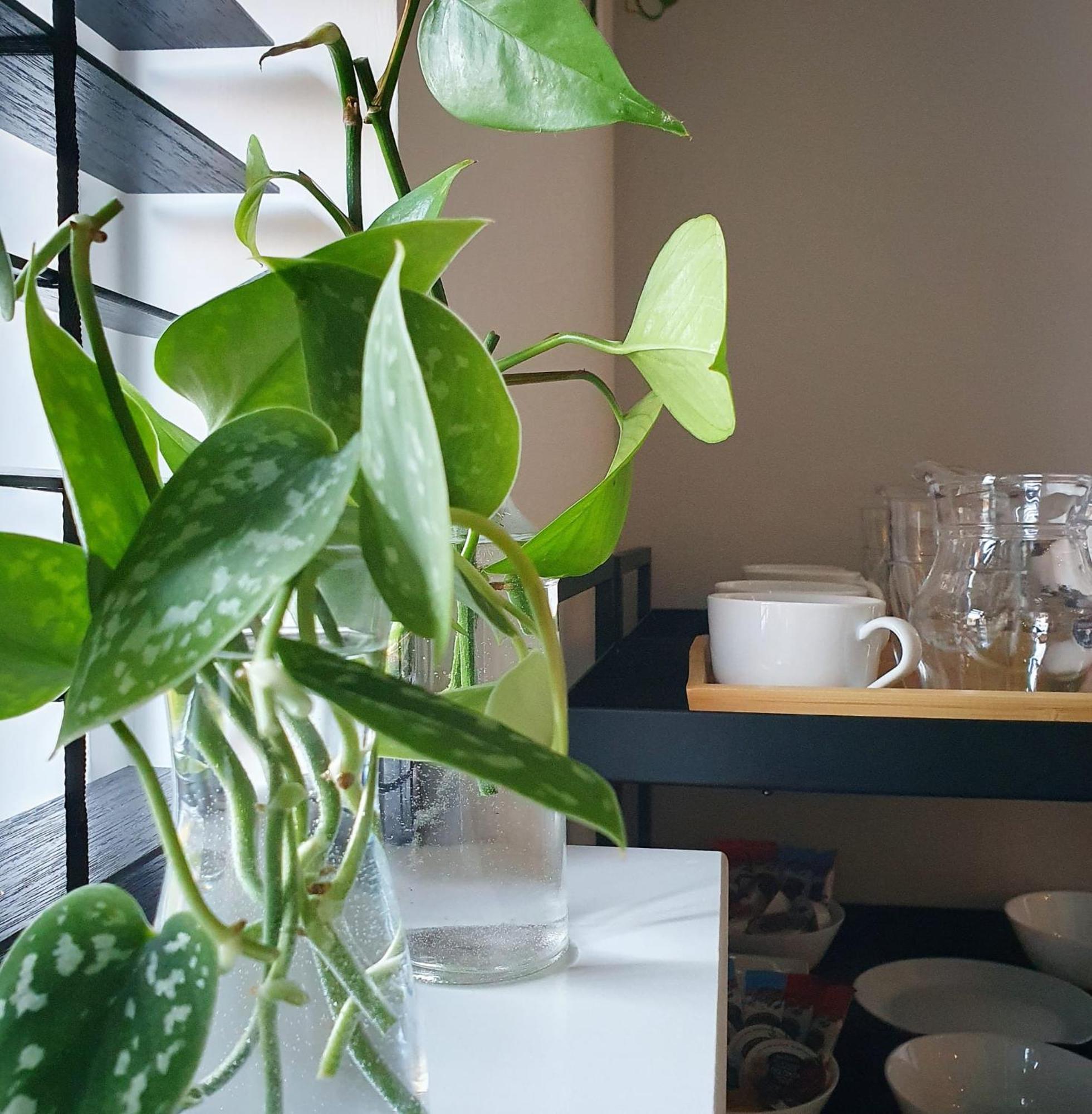 Bed And Breakfast 'Wij En De Zande' Kamperveen 외부 사진